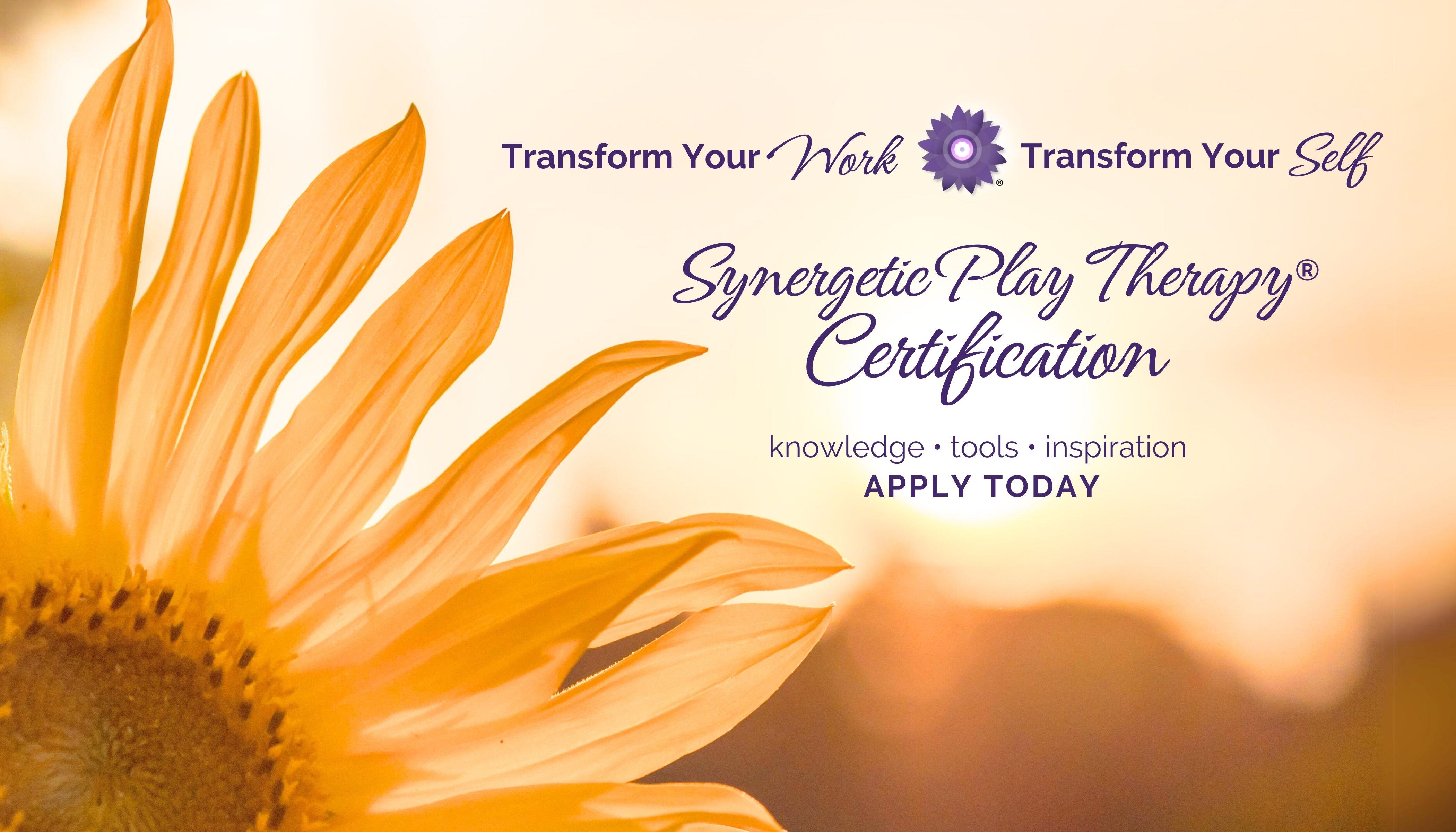 Synergetic Play Therapy Certification 2025 2026